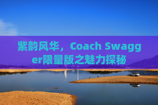 紫韵风华，Coach Swagger限量版之魅力探秘